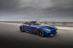 Mercedes-AMG GT C Roadster 2019 года (NA)